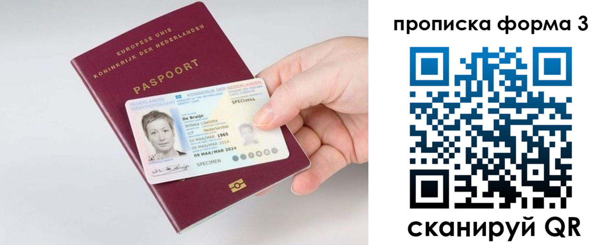 прописка 2025 в Светлогорске