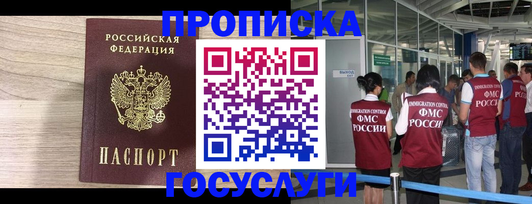 пропишу в квартире в Светлогорске